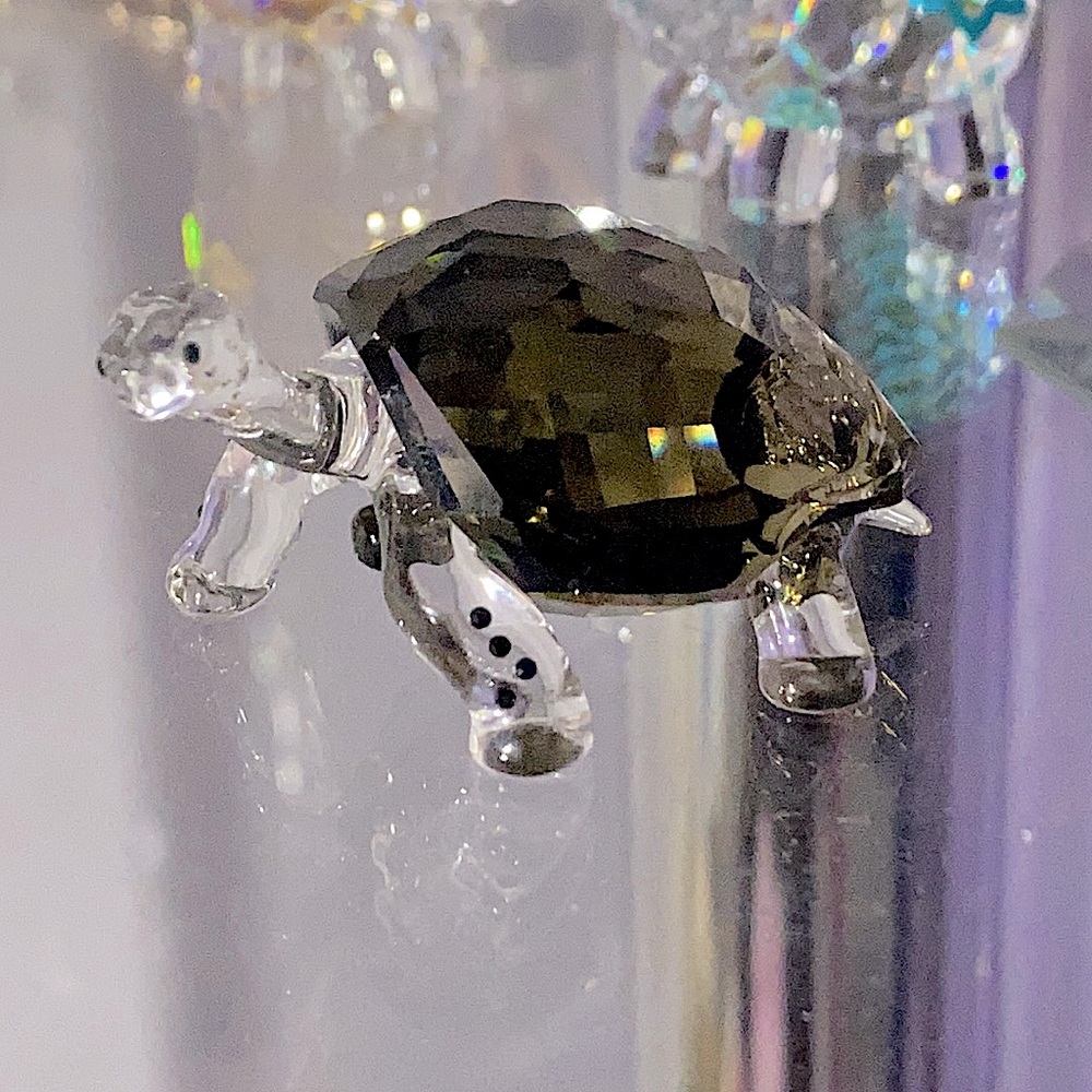 Retired Swarovski Galapagos Turtle, SCS Only Piece! 2010 Pristine, No Box.